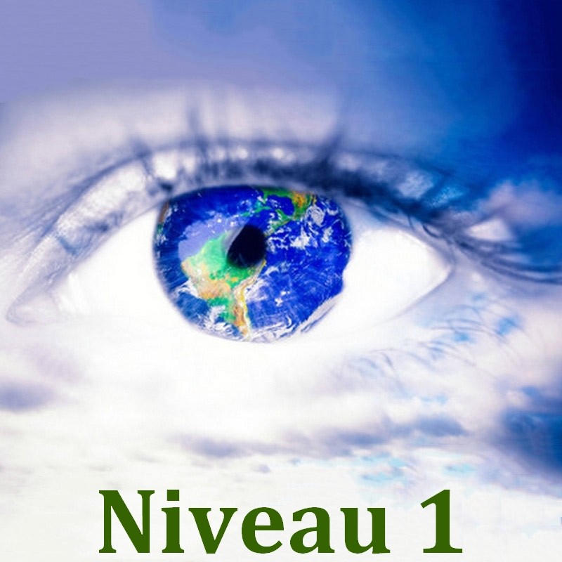 Iridologie - Niveau 1 -  Formation Naturopathie - 123-formation-naturopathie.fr