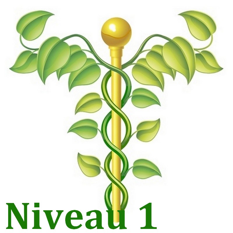 Bases de la naturo Niveau 1/3 - Formation Naturopathie - 123-formation-naturopathie.fr