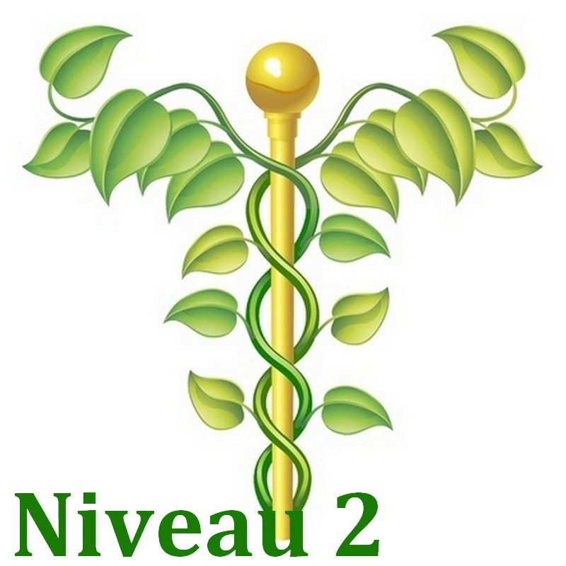 Bases de la naturo Niveau 2/3 - Formation Naturopathie - 123-formation-naturopathie.fr