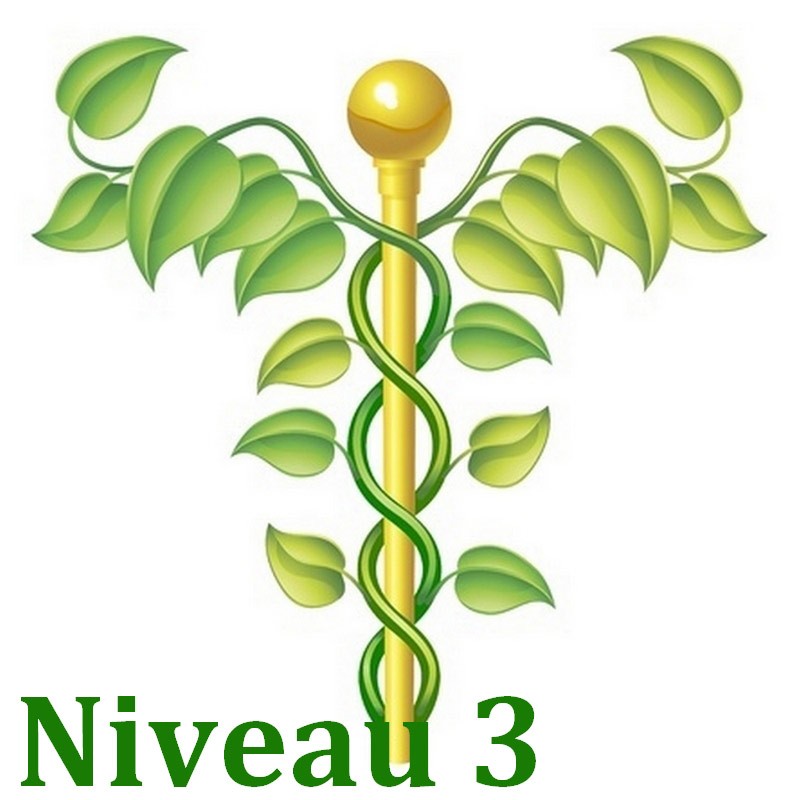 Bases de la naturo Niveau 3/3 - Formation Naturopathie - 123-formation-naturopathie.fr