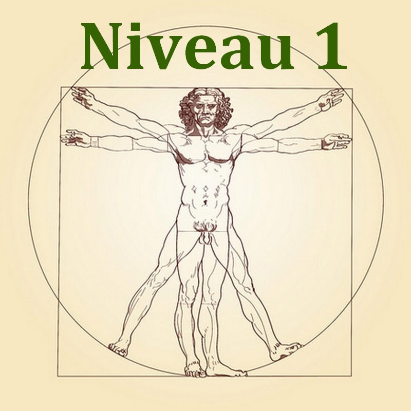 Anatomie et Physiologie - Niveau 1/3 - Formation Naturopathie - 123-formation-naturopathie.fr