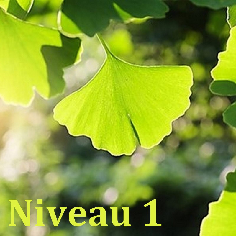 Phytothérapie Niveau 1/2 - Formation Naturopathie - 123-formation-naturopathie.fr